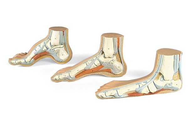 3 pieds en plastique - Physiologique, plat et creux